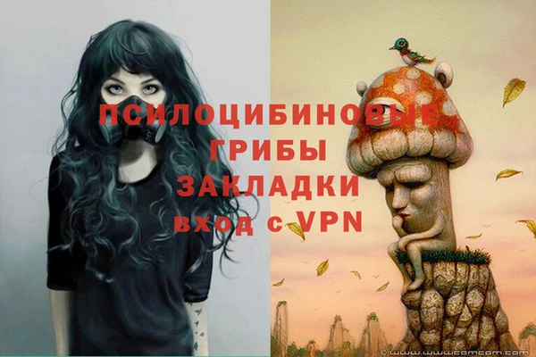 мдпв Железноводск