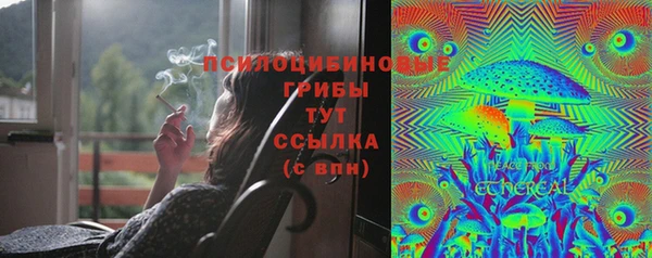 2c-b Жердевка