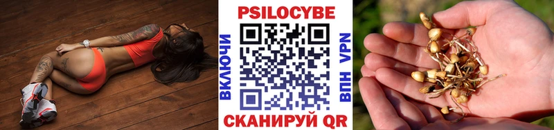 закладка  Ряжск  ОМГ ОМГ как зайти  Псилоцибиновые грибы Magic Shrooms 
